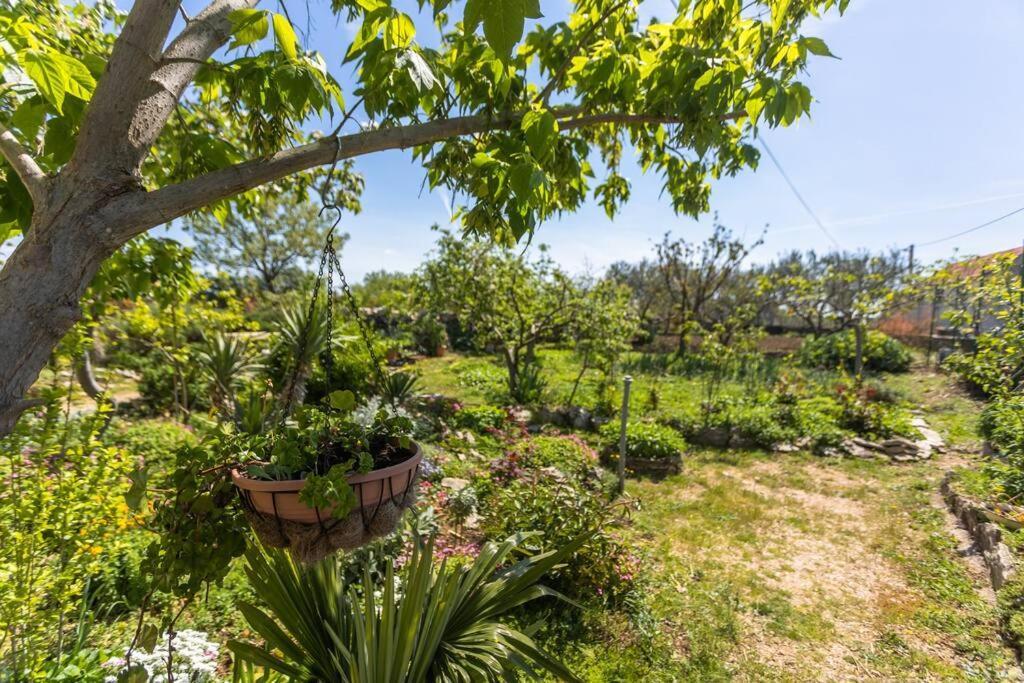 Peaceful House In Nature Nearby National Park Krka * Bristane